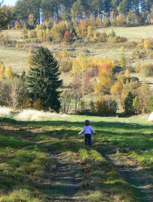 Art Pension Przecznica Dış mekan fotoğraf